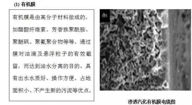 1550720264608979 (1).jpg